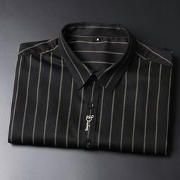 湯河之家 2019秋季新款長(zhǎng)袖襯衫男青年時(shí)尚修身精品刺繡條紋襯衣男裝c