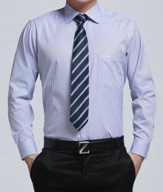 男士商務襯衫職業裝襯衫西裝襯衫 冬季長袖男裝襯衣 成都美泰來服裝制衣廠 服裝,西服,職業裝