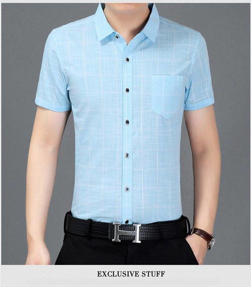 湯河之家 2020短袖襯衫爸爸裝男士夏季格子襯衣 郵樂網