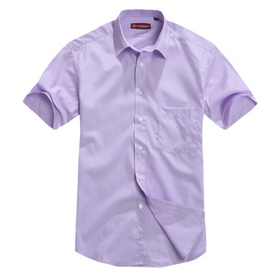 2012男裝襯衫批發(fā)商務(wù)休閑男式短袖襯衫廠家批發(fā)男短袖襯衣B