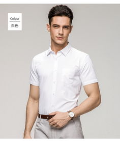 羅蒙 青年男士短袖襯衫修身商務(wù)休閑薄款職業(yè)襯衣男1e72221
